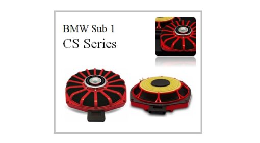 ESB Audio CS series BMW Sub 1